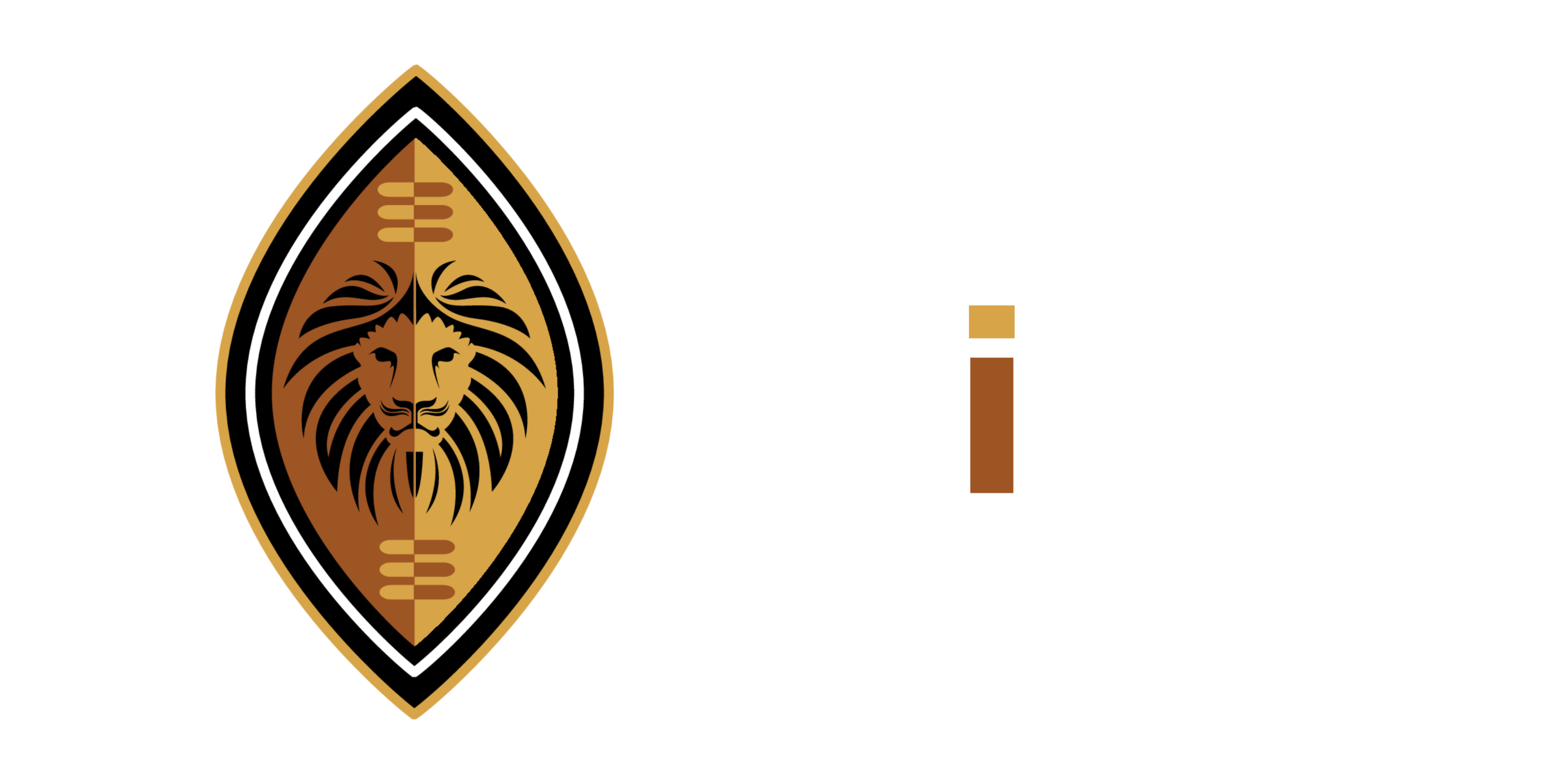 PSIRA Logo